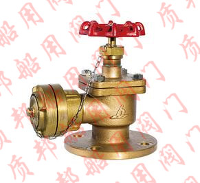 GB/T2032-93船用法蘭青銅直角消火栓、皮籠閥