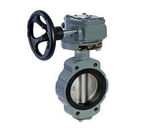 GB/T3036-94C 船用中心型渦輪式手動(dòng)蝶閥